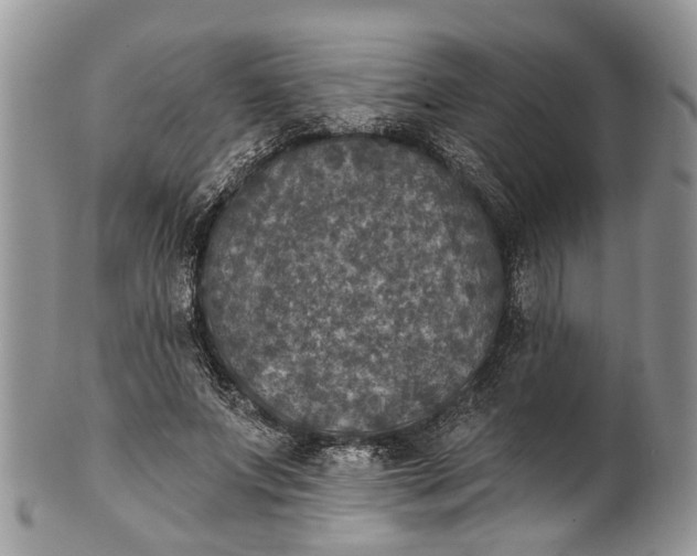 X0000101970687200808011131