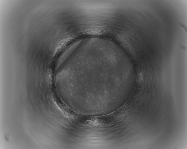 X0000101970688200808011131