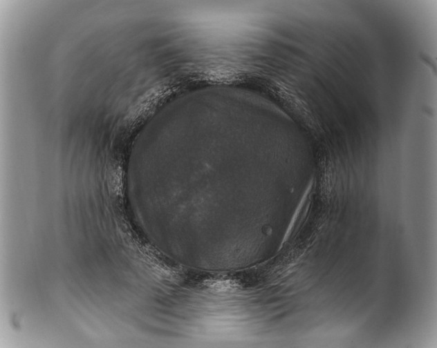 X0000101970689200808011131