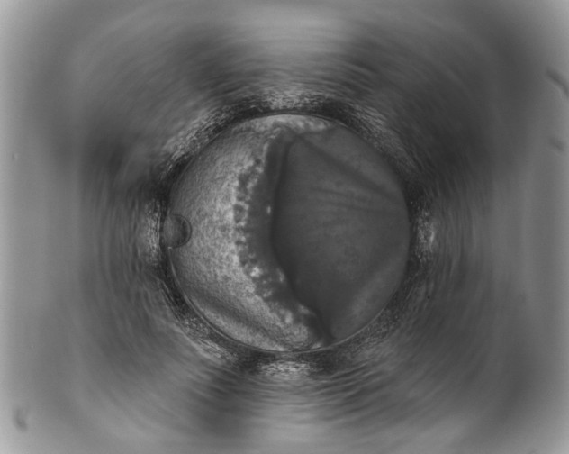 X0000101970691200808011131