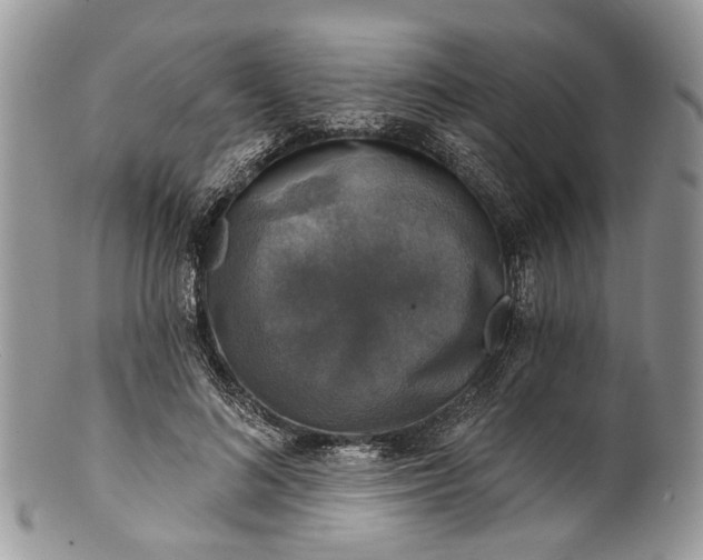 X0000101970692200808011131