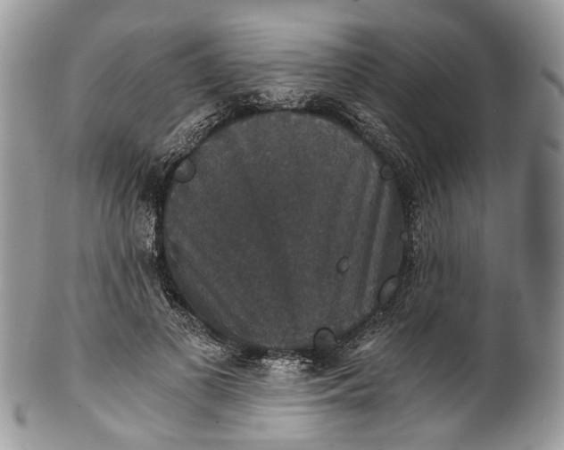 X0000101970693200808011131