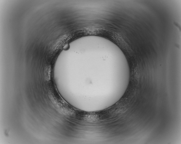 X0000101970694200808011131