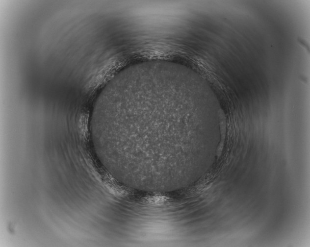 X0000101970695200808011131