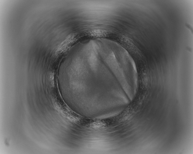 X0000101970696200808011131