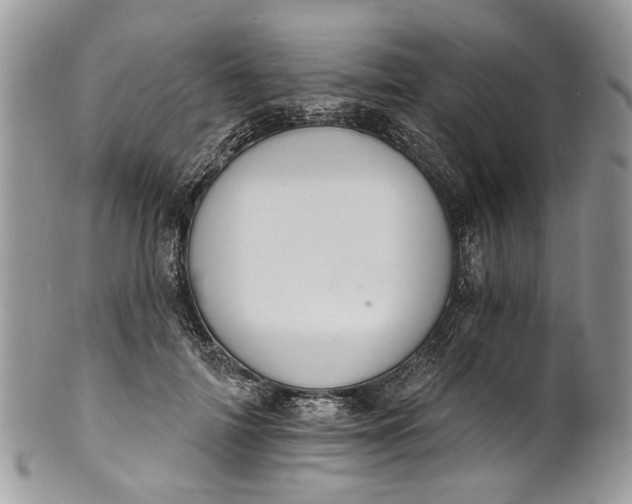 X0000101970698200808011131