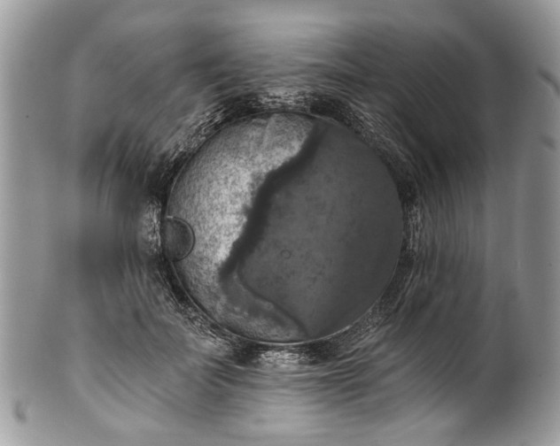 X0000101970699200808011131