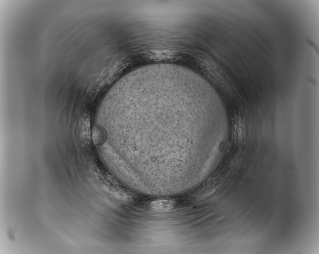 X0000101970700200808011131