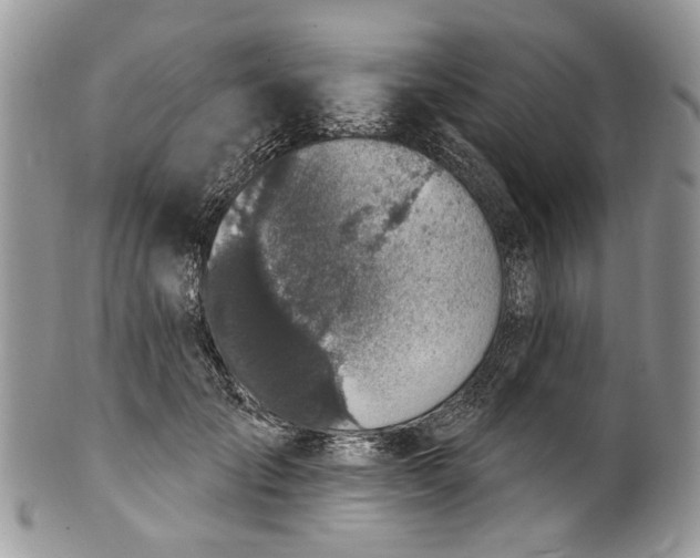 X0000101970701200808011131
