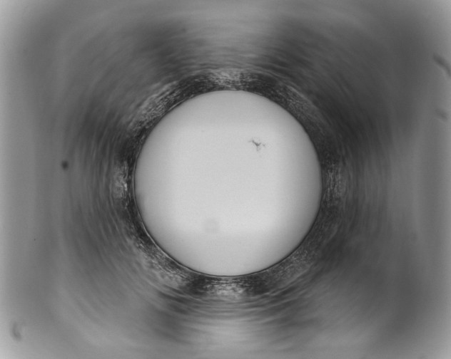 X0000101970702200808011131