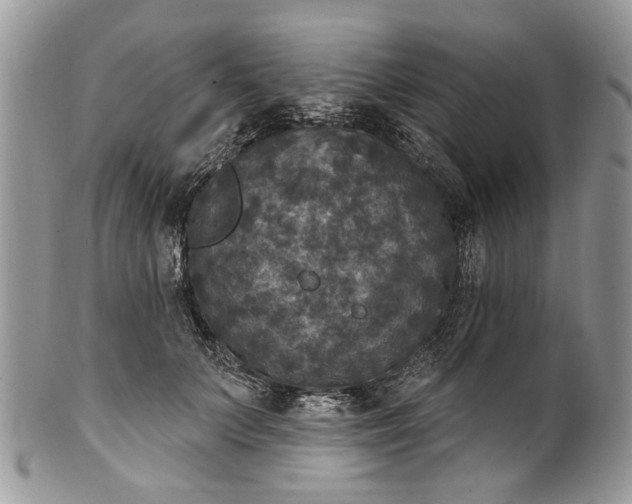 X0000101970703200808011131