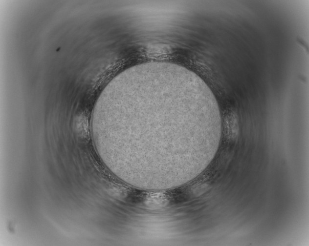 X0000101970705200808011131