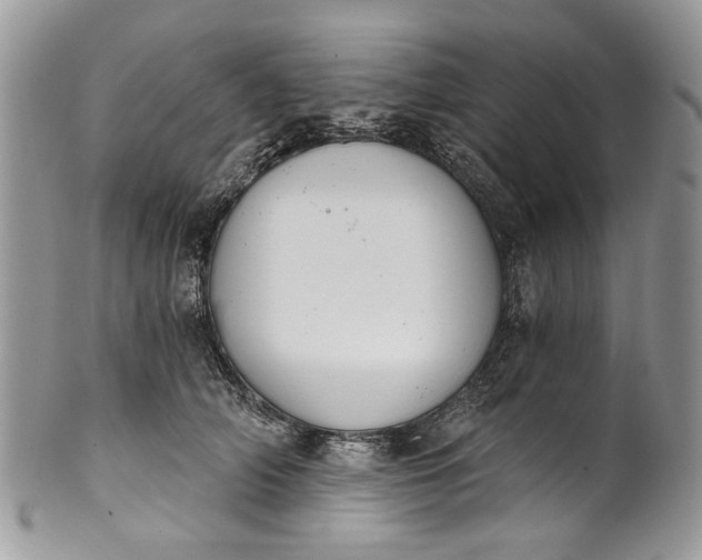 X0000101970706200808011131
