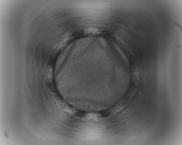 X0000101970708200808011131