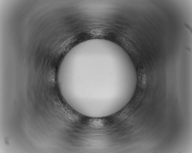 X0000101970710200808011131