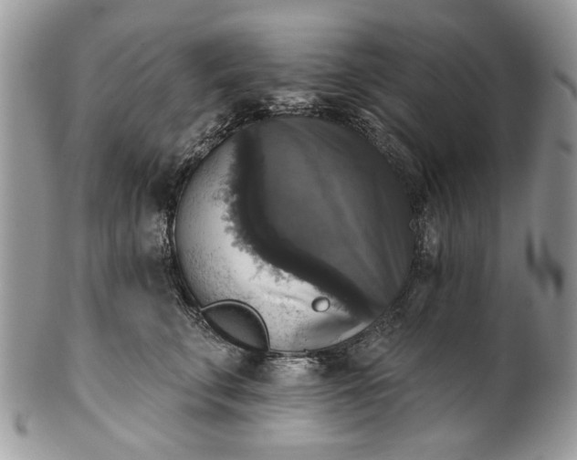 X0000101970711200808011131