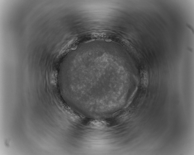 X0000101970712200808011131