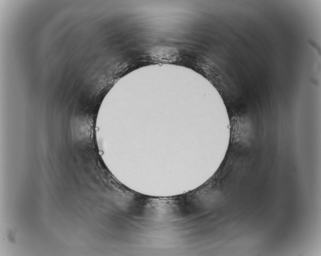 X0000101970713200808011131