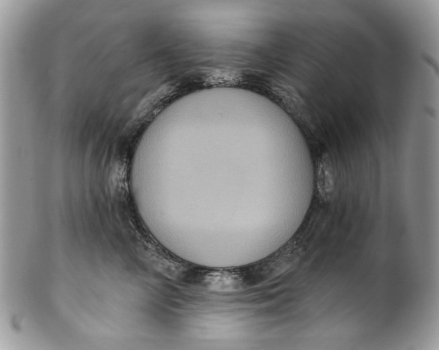 X0000101970714200808011131