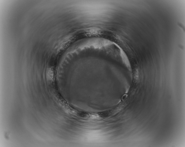 X0000101970715200808011131
