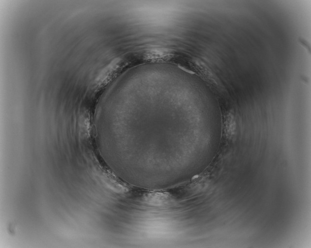 X0000101970716200808011131