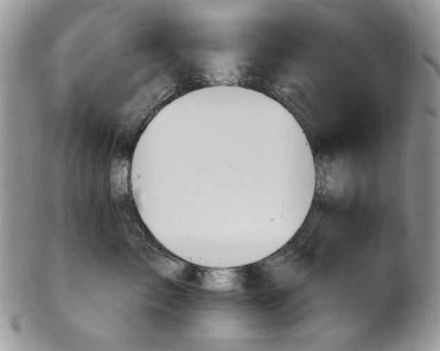 X0000101970717200808011131