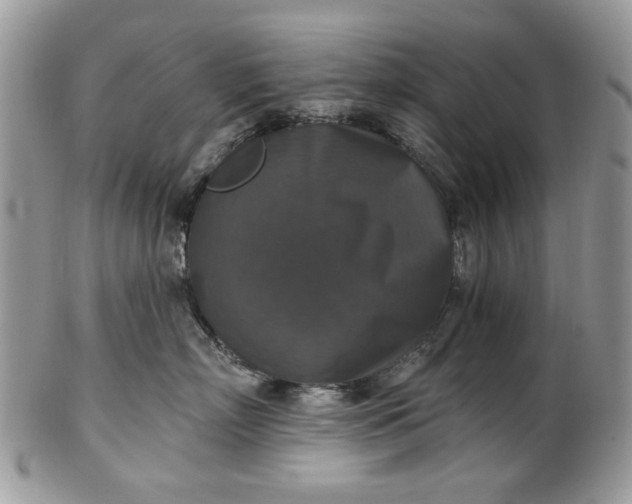 X0000101970718200808011131