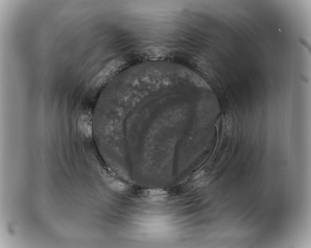 X0000101970719200808011131