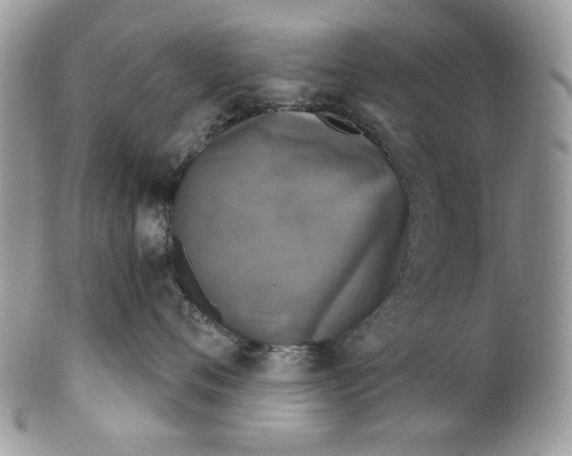 X0000101970720200808011131