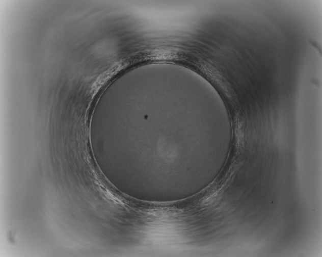 X0000101970721200808011130