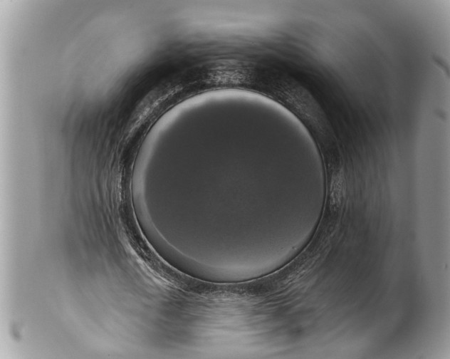 X0000101970722200808011130