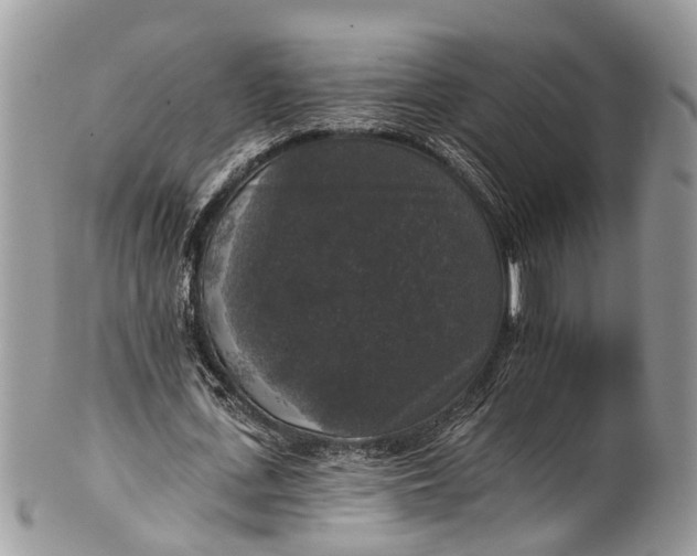 X0000101970723200808011130