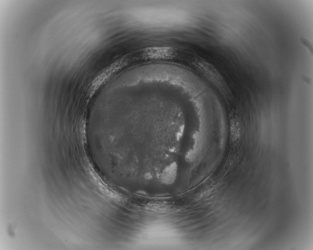 X0000101970725200808011130