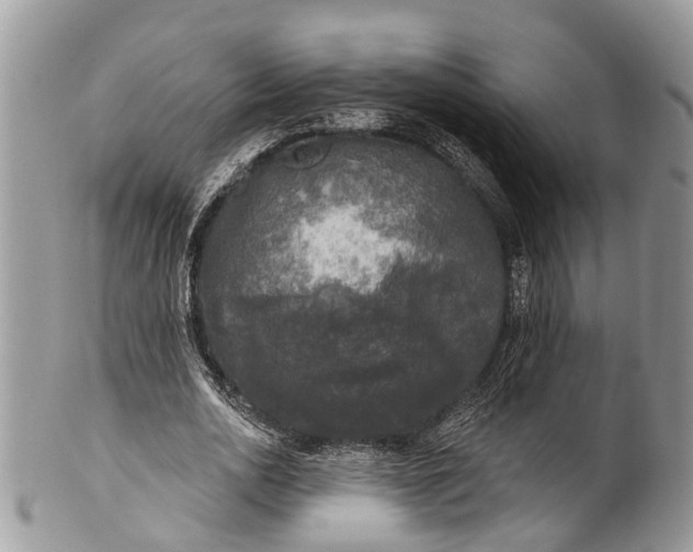 X0000101970726200808011130