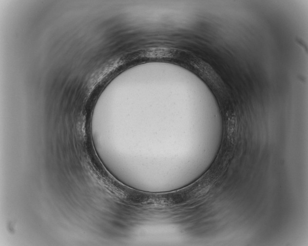 X0000101970727200808011130