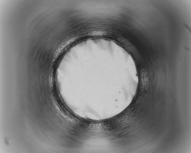 X0000101970728200808011130