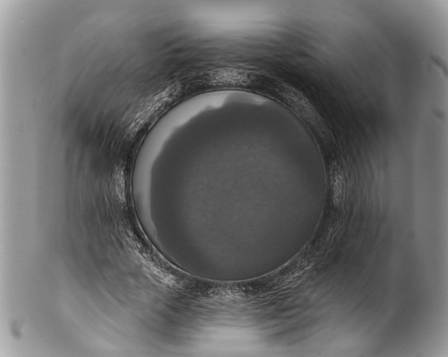 X0000101970729200808011130