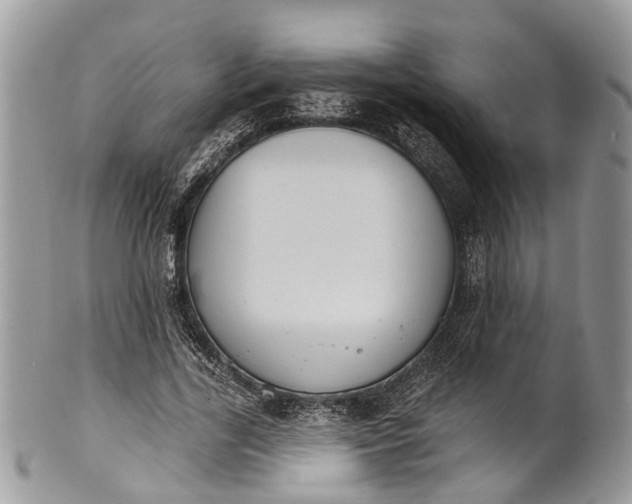 X0000101970731200808011130
