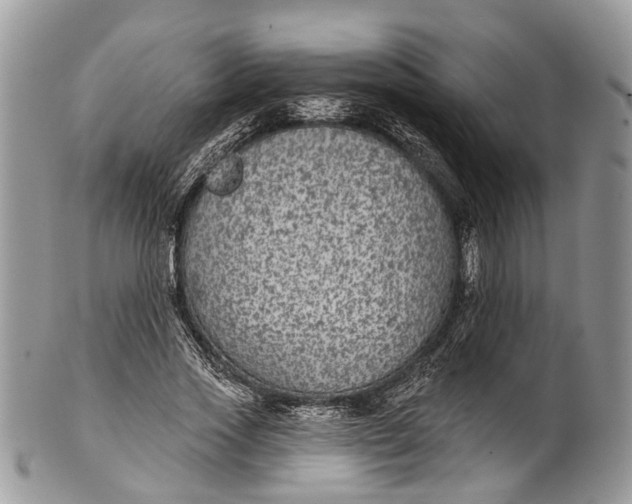 X0000101970733200808011130