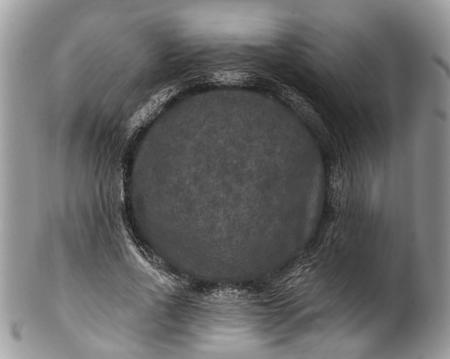 X0000101970734200808011130