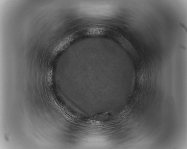X0000101970735200808011130