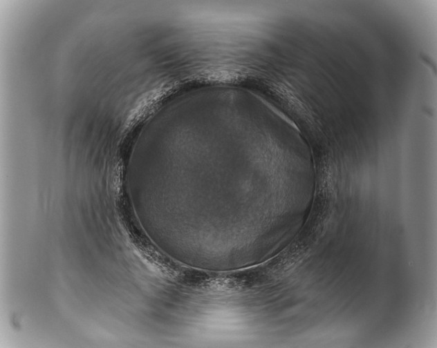 X0000101970736200808011130