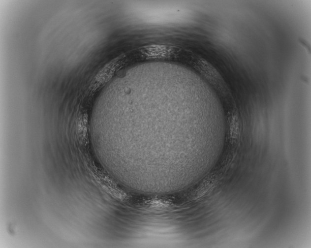 X0000101970737200808011130