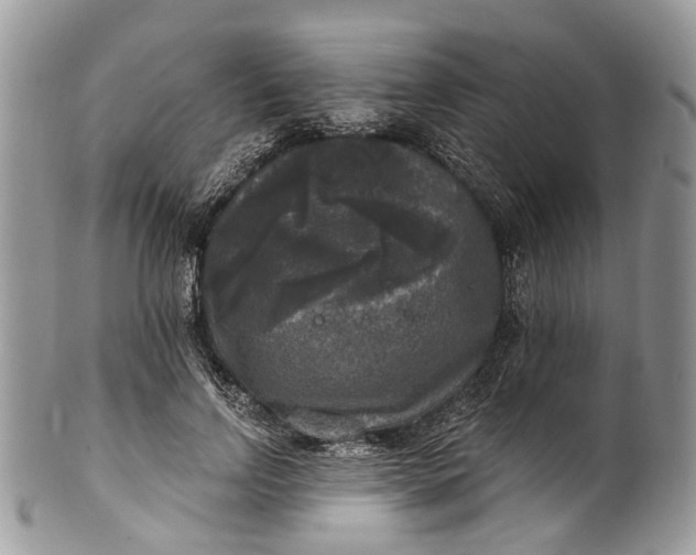 X0000101970742200808011130