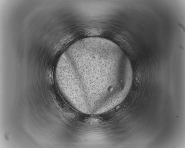 X0000101970743200808011130