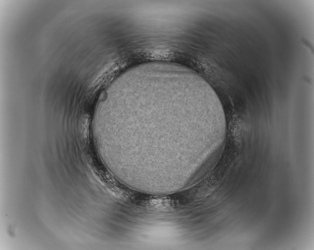 X0000101970744200808011130