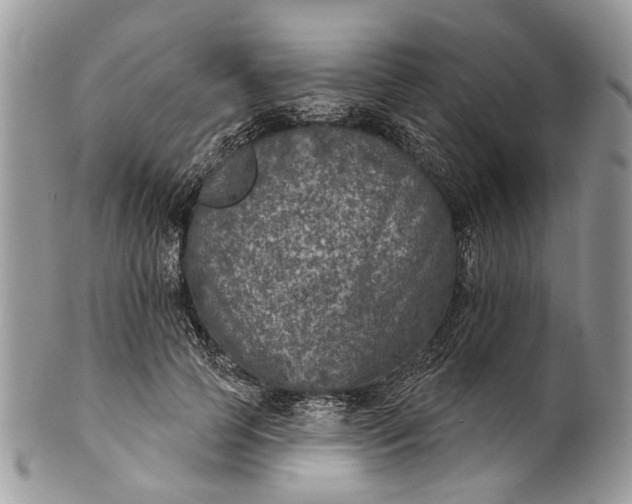 X0000101970745200808011130