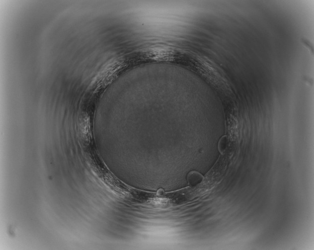 X0000101970748200808011130