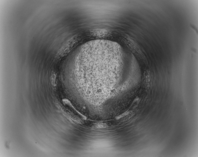 X0000101970750200808011130