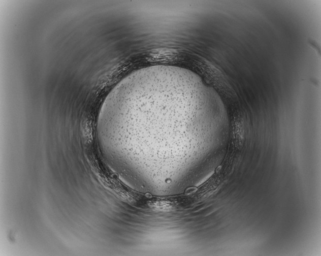 X0000101970751200808011130